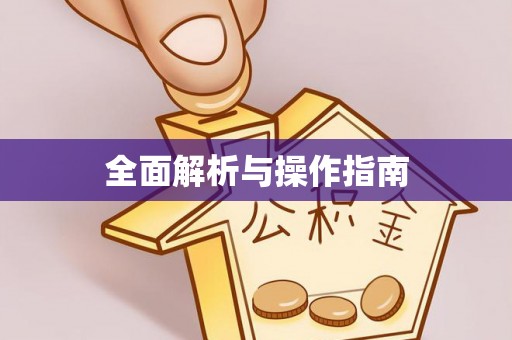 惠民全面解析与操作指南