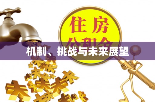 江汉机制、挑战与未来展望